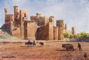 スペイン北部: オリテ、城 (色リソ)