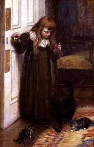 子猫と遊ぶ