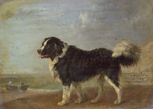 不明な画像 作： Edmund Bristow