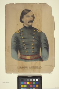 Col. James A. Mulligan (hand-coloured lithograph)   1448710   ja       japanese Successfully Translated  Original: A Dun Diver (Goosander) Translat: A Dun Diver (Goosander) 1432550 ja japanese Successfully Translated Original: The Garden of Earthly Delight