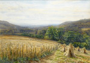 1884年、アシュバートン近郊の収穫時期（紙と紙とガッシュ） 作： Edmund George Warren