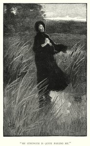 シャーロット・ブロンテ著「ジェーン・エア」の挿絵（彫刻）。 作： Edmund Henry Garrett