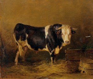 厩舎の雄牛 作： Edmund Mahlknecht