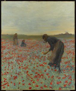 ケシ畑の少女たち、1896年頃 作： Edmund Montague Morris
