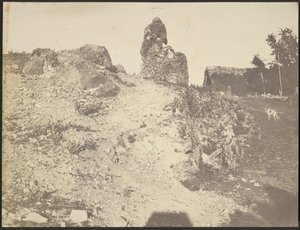 [ロッキーの風景］