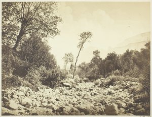 ヴォレッペ・ドフィネ、c。 1855年。 作： Édouard Baldus