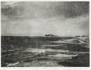 Enoshima Surf, 1992 作： Edouard Cremieux