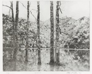Sai-no-Ko, 1992 作： Edouard Cremieux