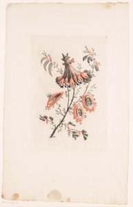 日傘型の花 フルール・イデアル（シリーズタイトル） 作： Edouard Gautier Dagoty