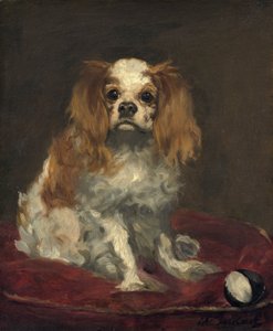 キングチャールズスパニエル、1866年頃（リネンに油彩） 作： Édouard Manet