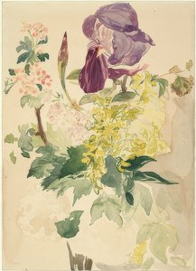 アイリス、ラバーナム、ゼラニウムと花の作品。 1880 作： Édouard Manet