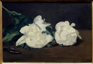 白牡丹とセカトゥールの枝 エドゥアール・マネ（1832-1883）の絵画 1864年 薄暗い。0.31×0.46メートル パリオルセー美術館 作： Édouard Manet