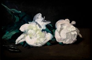 白牡丹と鋏の枝 作： Édouard Manet