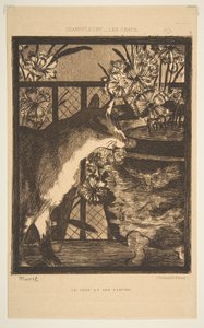 猫と花。 Champfleury、1869による猫のイラスト。 作： Édouard Manet