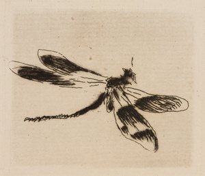 トンボ、プレート1（Le Fleuveより 作： Édouard Manet