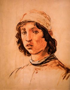 フィリッピーノ・リッピの自画像の後の若い男の頭 作： Édouard Manet