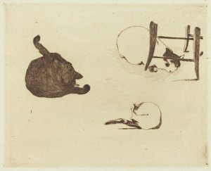 キャッツ レ チャット、1869 年。 作： Édouard Manet