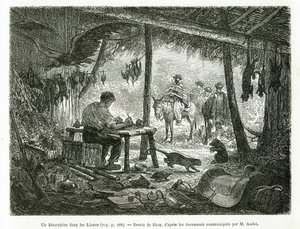 1875年から1876年にかけて、フランス政府が派遣した旅行者ミッション、エド・アンドレが春秋アメリカ（コロンビア、エクアドル、ペルー）の物語を説明するためにリウが描いた、ラノス（コロンビア）地方の原生林の中にある剥製工房。エングラ 作： Edouard Riou