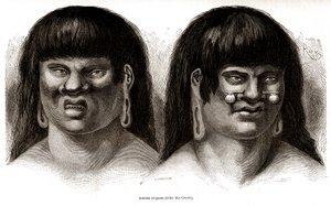 ペルーのオレホネス・インディアンのカップル（Ccotos族） 作： Edouard Riou