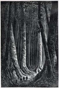 フランス領ギアナの森、Riouの絵、"Le Tour du Monde", 2nd sem.1879.