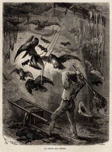 1848年から1860年にかけてのポール・マルコイの太平洋から大西洋への旅を説明するためにリウが描いた、サラヤク（ペルー）の教会に避難しているフクロウの狩猟。エドゥアール・シャルトン編『Le tour du monde』に掲載された図版