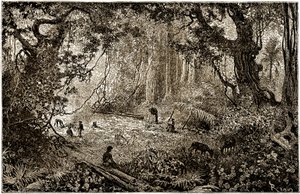 グアテマラにおける探検家キャンプの設置（1882年） 作： Edouard Riou