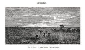 ロスジャノス、ベネズエラ、19世紀 作： Edouard Riou