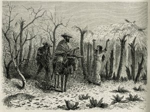 1875年から1876年にかけてフランス政府のミッションを担当した旅行者E.Andreが執筆した「L