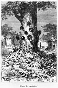 人食いの木、ジュールヴェルヌ作「バルーンの5週間」のイラスト（1828-1905）パリ、ヘッツェル 作： Edouard Riou