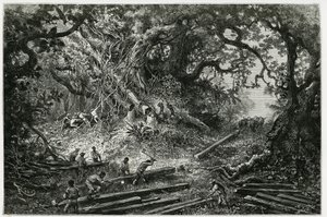 アンデスの森でのマホガニーの搾取。1882年、考古学者・写真家のデジレ・シャルネ（1828-1915）が執筆した「ユカタンとラカンドンの地への旅」の挿絵としてリウが描いた版画。Tour du monde nou』に掲載。 作： Edouard Riou
