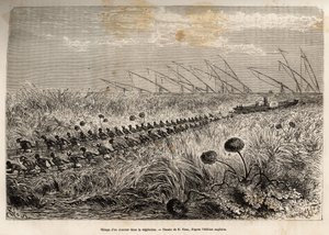 E.Riouが描いた、中央アフリカでの黒人貿易撲滅のための武装遠征の図をもとにエッチングされたもので、湿地帯を離れるために中空の運河に侵入する植物の筏の間を縫って蒸気船を運ぶ様子。 作： Edouard Riou