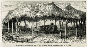 パンチェ（コロンビア）のサトウキビをすりつぶすトラピッチェ（製糖所）。1875年から1876年にかけて、フランス政府が派遣した旅行者ミッション、エド・アンドレが春秋アメリカ（コロンビア、エクアドル、ペルー）の物語を説明するためにリウが描いたもの。リューのエングレーヴィング