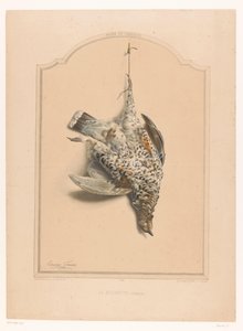 脚からぶら下がっている死んだ女性のライチョウ La gelinotte (femelle) (オブジェクトのタイトル) ハンターの博物館（シリーズタイトル） Musée du chasseur (オブジェクトのシリーズ タイトル) 作： Edouard Travies