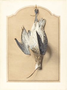 だまし絵: 釘からぶら下がっているカーリュー 作： Edouard Travies