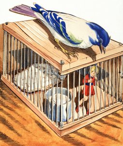 鳥かごの中のトム・サム 作： エドゥアルド・テイシェイラ・コエーリョ
