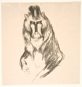 ゴリラ (本土) 作： Edvard Munch