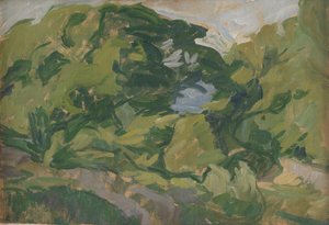 風景、Christiansø 作： Edvard Weie