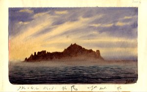南トリニダード、1901（紙にトイレ） 作： Edward Adrian Wilson