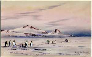 ディスカバリーウィンタークォーター、1901年4月頃（紙にトイレ） 作： Edward Adrian Wilson