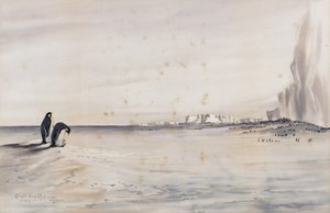 皇帝ペンギンの繁殖地、クロジエ岬 作： Edward Adrian Wilson