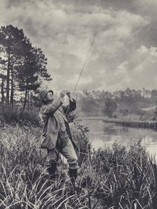 結び目（モノクロ写真） 作： Edward Alfred Barton