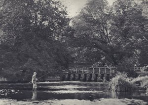 ナダーの14のハッチ（モノクロ写真） 作： Edward Alfred Barton