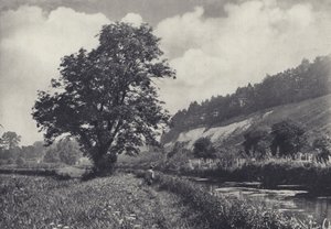 レックフォード、メインキャリアのビッグ・アッシュ（モノクロ写真） 作： Edward Alfred Barton