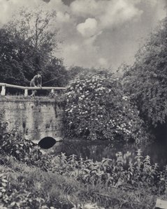 アクスブリッジのフレイズに架かる運河橋（モノクロ写真） 作： Edward Alfred Barton
