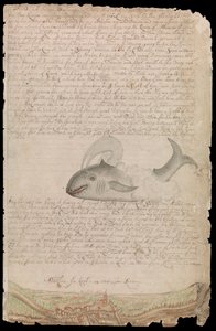 エドワード・バーロウが1659年から1703年まで、王の船、東・西インド洋船、その他の商船で過ごした海での生活を記した日記のプレート。 作： Edward Barlow