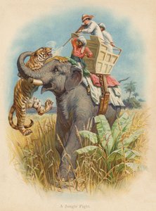 ジャングルの戦い（カラーリトグラフ） 作： Edward Brice Montefiore
