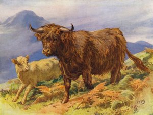 ハイランド牛と子牛 (カラーリソ) 作： Edward Brice Montefiore