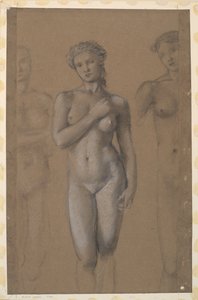 女性のヌード-3つの研究、おそらく金星のために 作： Edward Burne-Jones