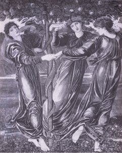 ヘスピリデスの庭、Bibbys Annual 作： Edward Coley (after) Burne Jones