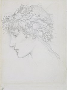 葉を戴く頭部 1897年頃（紙に鉛筆） 作： Edward Coley Burne Jones